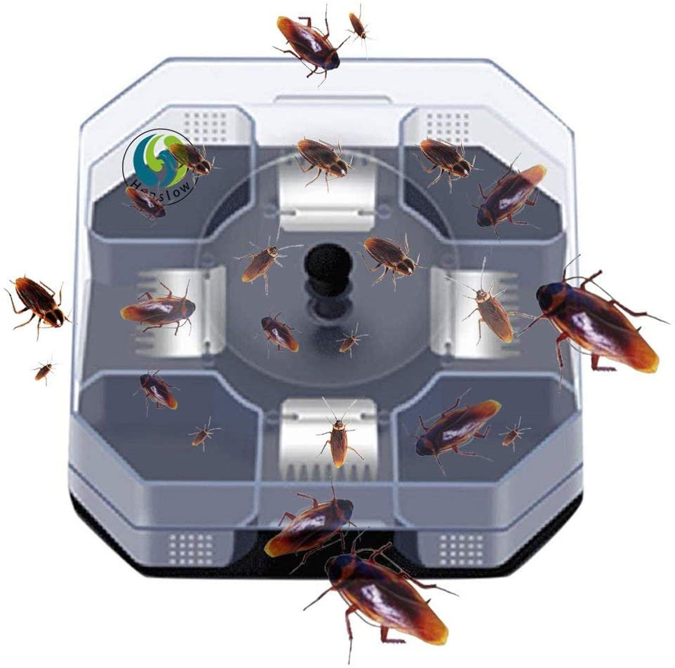 Effective Cockroach Trap Capture All Kinds of Roaches Non-Toxic and Eco-Friendly
