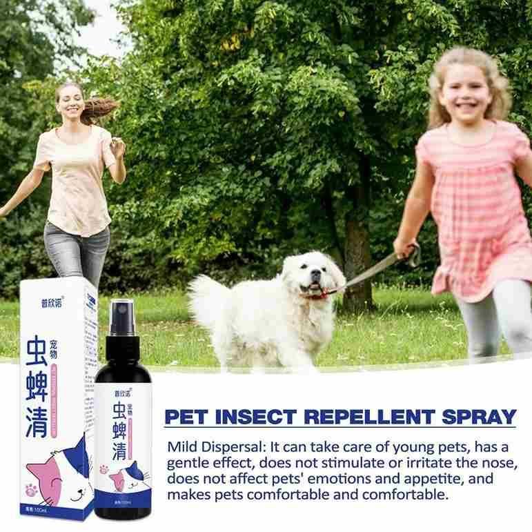 Dog Fleas And Tick Treatments Spray For Ant Lice Fly